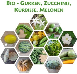 Katalog Bio-Gurke, Zucchini, Kürbisse, Melonen, Mais