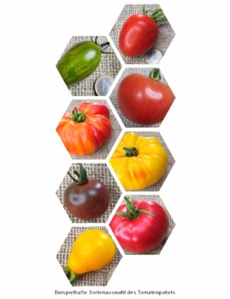 Bio-Tomaten-Pflanzen-Paket: Feinschmecker