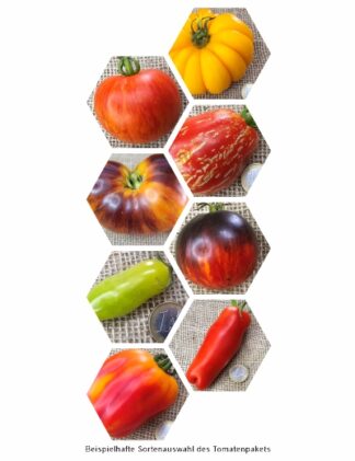Bio-Tomaten-Pflanzen-Paket: Überraschung
