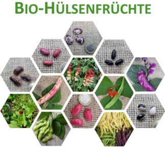 Katalog Bio-Hülsenfrüchte