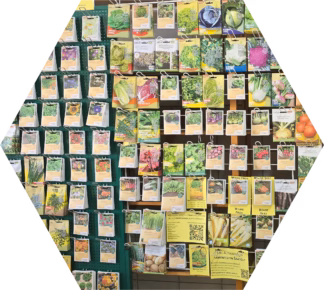 Bio-Saatgut (samenfest) im Hofladen der Gärtnerei