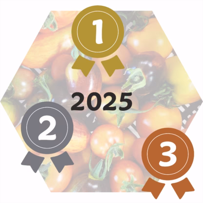 Tomaten-Verkostung: Gewinner 2025