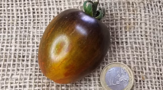 Brads Atomic Grape Bio-Saatgut