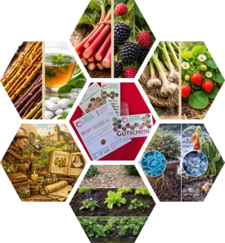Gutschein & Infos