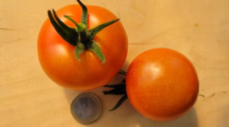 Hellfrucht Bio-Pflanze