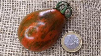 Jörgs Birne Bio-Saatgut