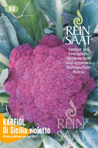 Blumenkohl Di Sicilia violetto Bio-Saatgut