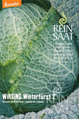 Wirsing Winterfürst 2 Bio-Saatgut