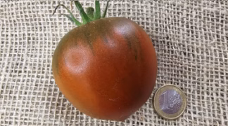 Paul Robson Bio-Saatgut