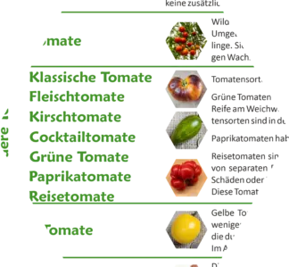 Tomate: Wissenswertes