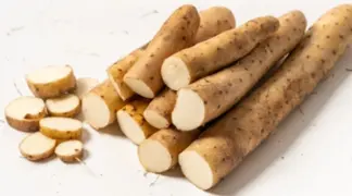 Dioscorea batatas | Lichtwurzel | Yams Bio-Pflanze