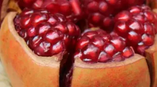 Punica granatum 'Sotschi Russia' | Granatapfel 'Sotschi Russia' Bio-Pflanze